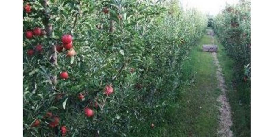 Irrigation solutions for Apple Crops - Agriculture - Crop Cultivation