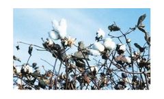 Irrigation solutions for Cotton Crops