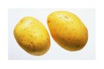 Irrigation solutions for Potato crops - Agriculture - Crop Cultivation