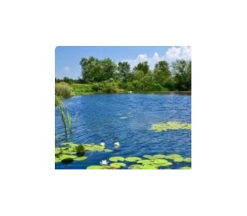 Algae control in ponds - Water and Wastewater