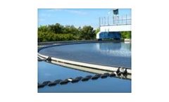 Algae control in water treatment plants