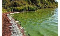 Algal Blooms - Monitoring, warning and control