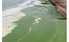 Ultrasound for algal bloom control: background, research and effects