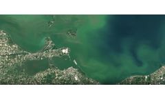 How climate change fuels algae blooms in the 21st century