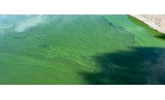 Algae season guidelines for water professionals