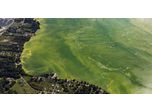 Algae blooms in Lake Erie: surprising severity raises concerns