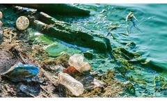After the Storm: How Hurricanes Fuel Algal Blooms