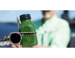 Algae toxins linked to brain diseases found in Florida