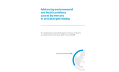 Whitepaper - Addressing environmental and health problems caused by mercury in artisanal gold mining