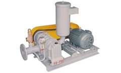 Model BL-002 - Roots Blower