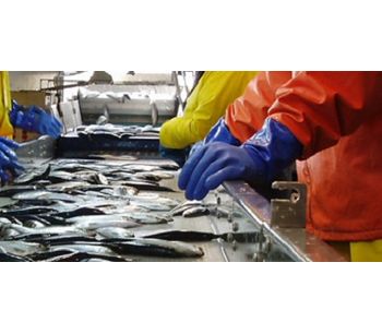 Odor control for the fish feed production industry - Food and Beverage