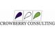 Crowberry Consulting