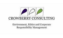 Introducing Crowberry Consulting Ltd our products and services