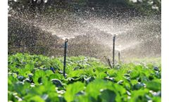 Enhancing Agricultural Practices with Ozone for Farm Water Systems