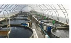 Revolutionizing Fish Farming: Harnessing the Power of Absolute Ozone Generators