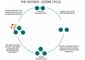 How Does an Ozone Generator Work?