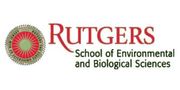 Rutgers University  (C.R.E.B.B.)