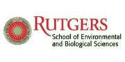 Rutgers University  (C.R.E.B.B.)