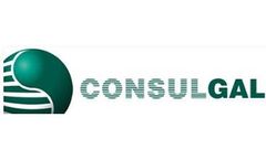 Consultancy Services
