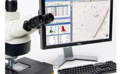 Particle Analysis Services