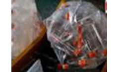 Plastic Thermos Shredding | Plastics Shredder | Plastics Products Shredding