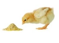 LGC - Model AFPS - Animal Feed