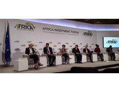 EU-Africa Platform of Sustainable Energy Investments presents recommendations to boost investment in Africa