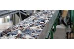 Industrial wastewater solutions for seafood processing sector - Agriculture - Aquaculture