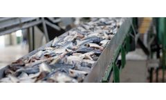 Industrial wastewater solutions for seafood processing sector