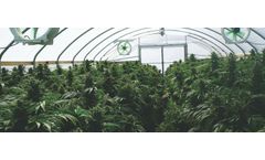 Industrial process solutions for marijuana plant waste sector