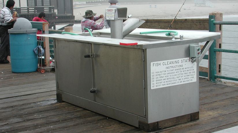 Industrial Stainless Steel Fish Cleaning Stations-2
