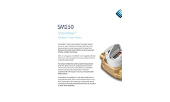 SM250 - Electronic Meter Brochure