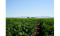 LIVE WEBINAR - Soil Electrical Conductivity: Managing Salts for Sustained High Yields