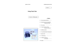 Thermoplastic Swing Check Valves – Manual