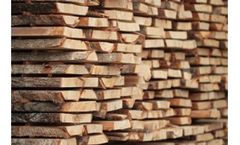 USG - Birch Lumber