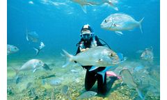 Marine Environment Classification Services