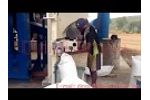 Chicken manure drying pellet production line Video