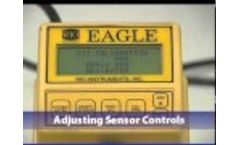 RKI Eagle Calibrating Non-Standard Toxic Gas Sensor Video