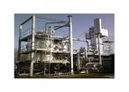 Beltran - Biomass Gasification Technology