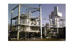 Beltran - Biomass Gasification Technology