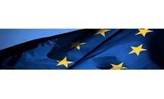 EU Project Management Services