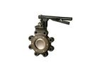 Flowseal - High Performance Butterfly Valve