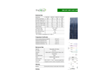 Model DM 145w - 2PK - Solar Module Specification