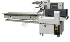 Echo - Model DXD-380 - Full Automatic Pillow Type Packing Machine