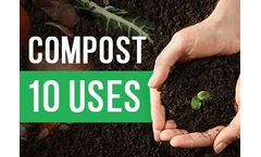 Beyond the Basics: 10 Unexpected Uses for Compost