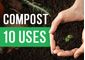 Beyond the Basics: 10 Unexpected Uses for Compost