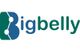 Bigbelly Solar LLC