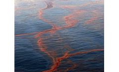BP Pledges $500 Million for Independent Research into Impact of Spill on Marine Environment