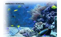 AMMOSORB - Natural Aquarium Ammonia Remover Granules: 2 lb. Use in Tank or Filter