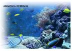 AMMOSORB - Eco Aquarium Ammonia Controls Filter Media: 50 lb. Use in Tank or Filter